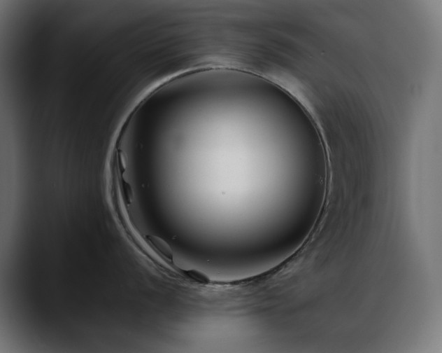 X0000088621056200705251237