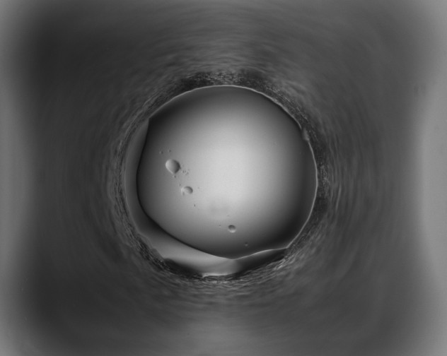 X0000088621057200705251237