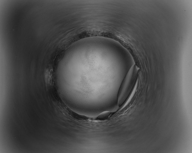 X0000088621059200705251237