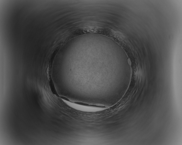 X0000088621060200705251237