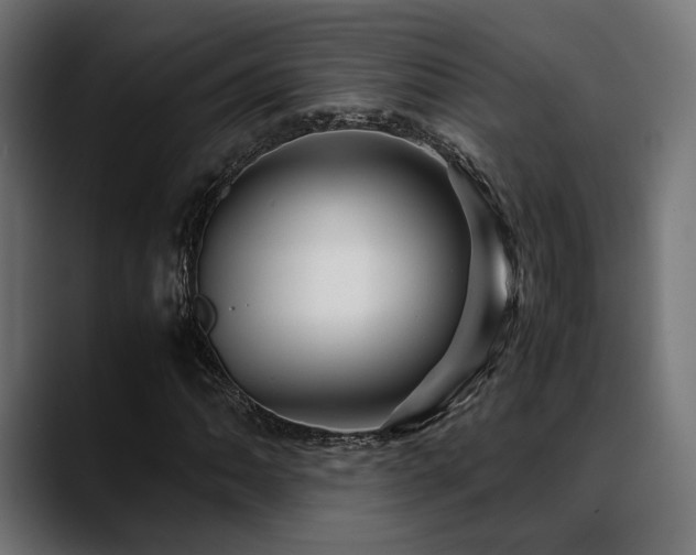 X0000088621062200705251237