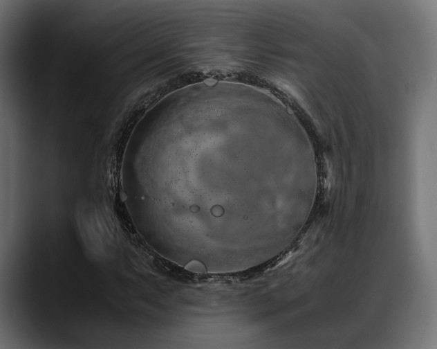 X0000088621063200705251237