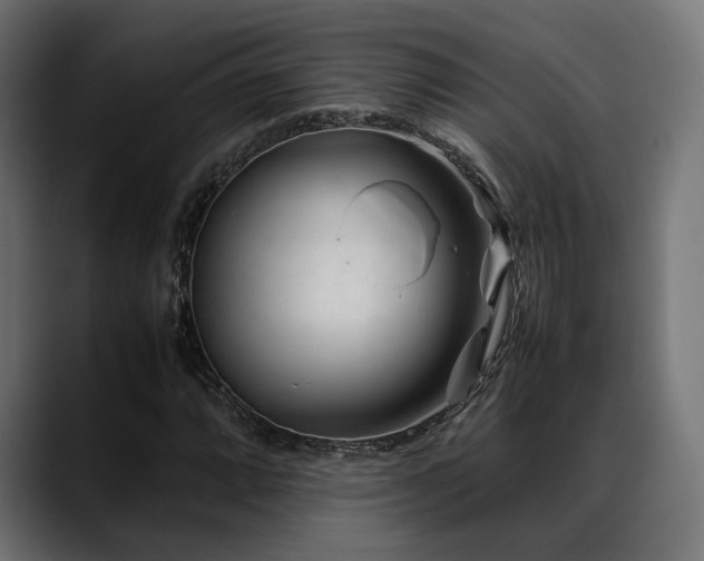 X0000088621064200705251237