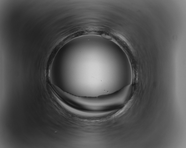 X0000088621065200705251236