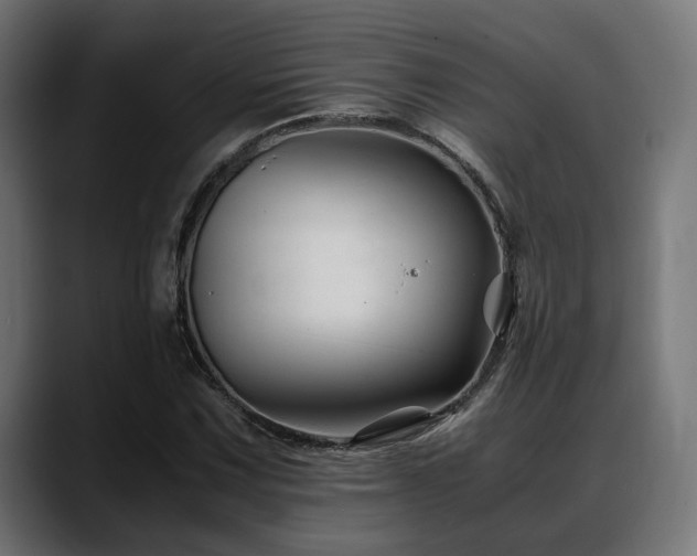 X0000088621067200705251236