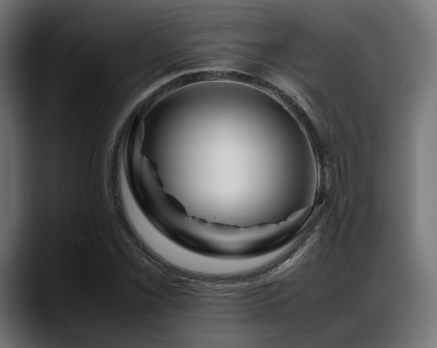 X0000088621069200705251236