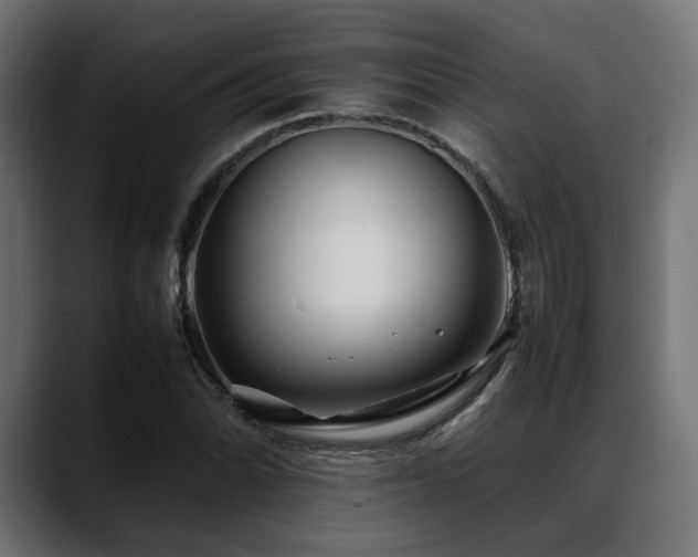 X0000088621070200705251236