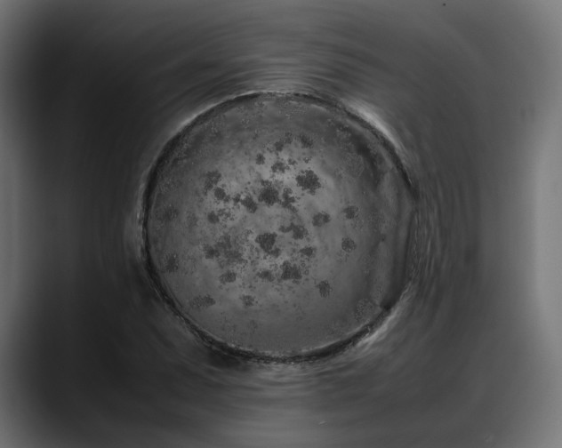 X0000088621071200705251236