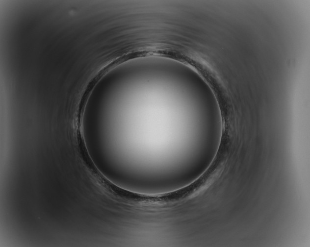 X0000088621073200705251236