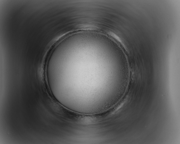 X0000088621074200705251236