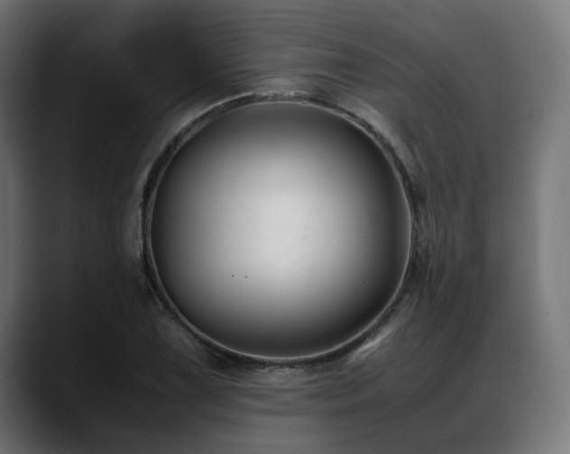 X0000088621075200705251236