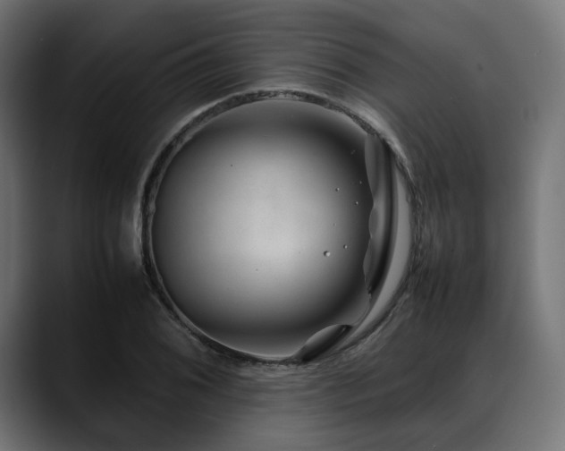 X0000088621076200705251236