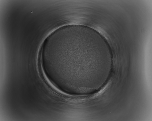 X0000088621077200705251236