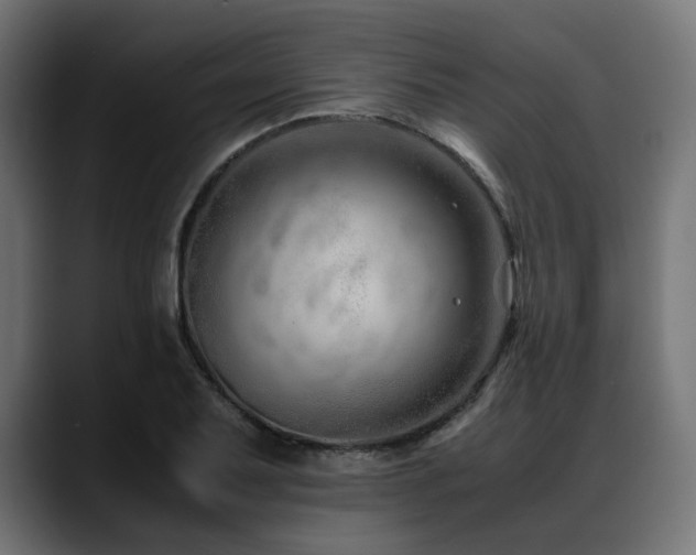X0000088621079200705251236