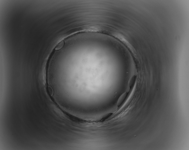X0000088621083200705251236