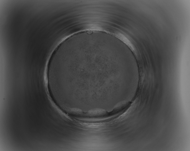 X0000088621084200705251236