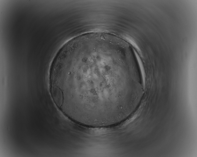 X0000088621087200705251236