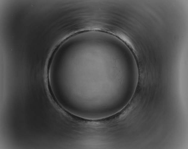 X0000088621088200705251236