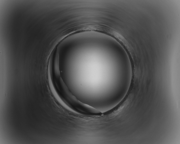 X0000088621089200705251236