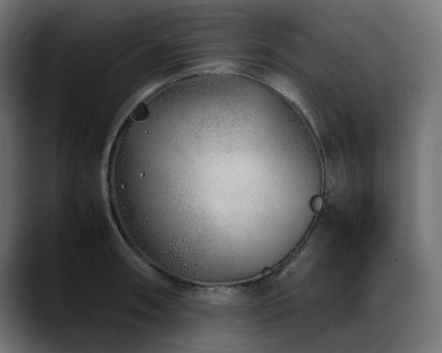 X0000088621090200705251236