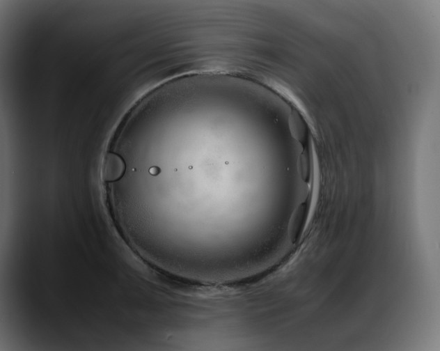 X0000088621091200705251236