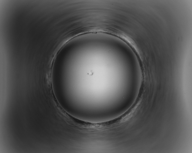 X0000088621097200705251236