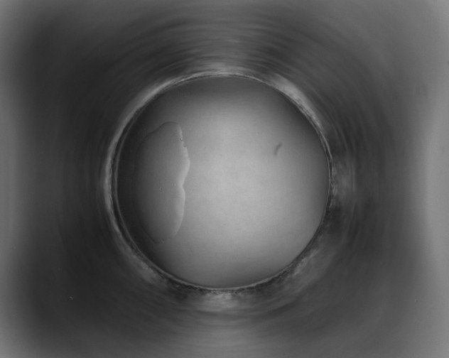 X0000088621098200705251236