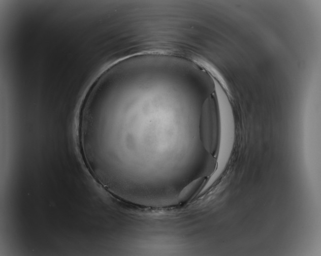 X0000088621099200705251236
