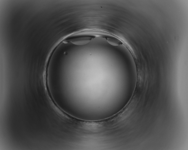 X0000088621100200705251236