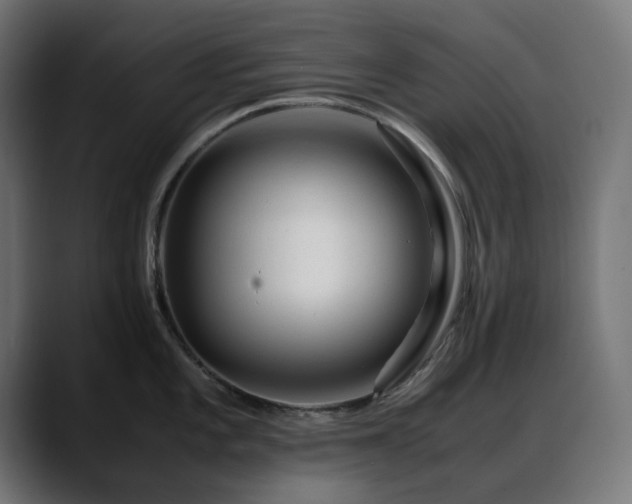 X0000088621101200705251236