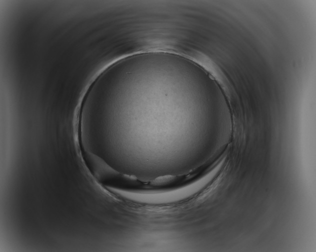 X0000088621102200705251236