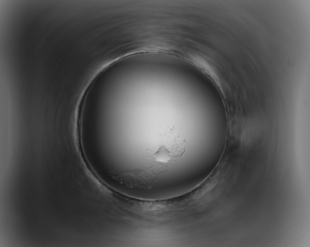 X0000088621103200705251236