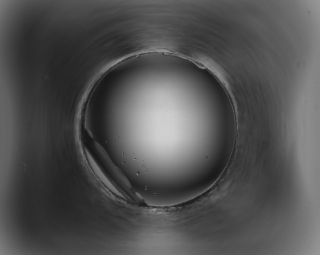 X0000088621104200705251236