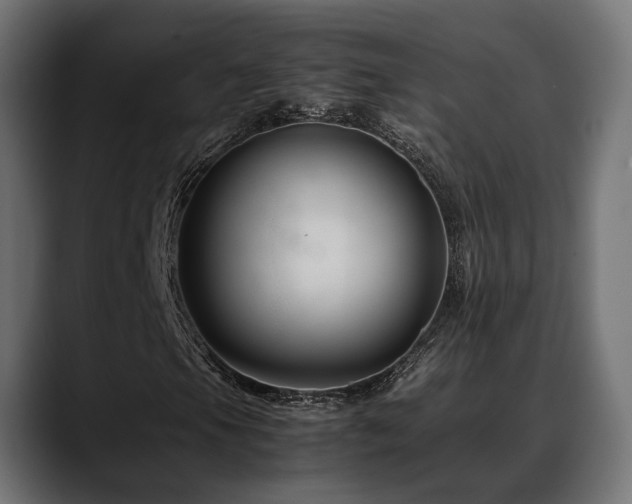 X0000088621105200705251235