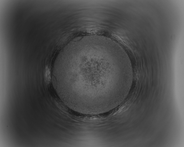 X0000088621106200705251235