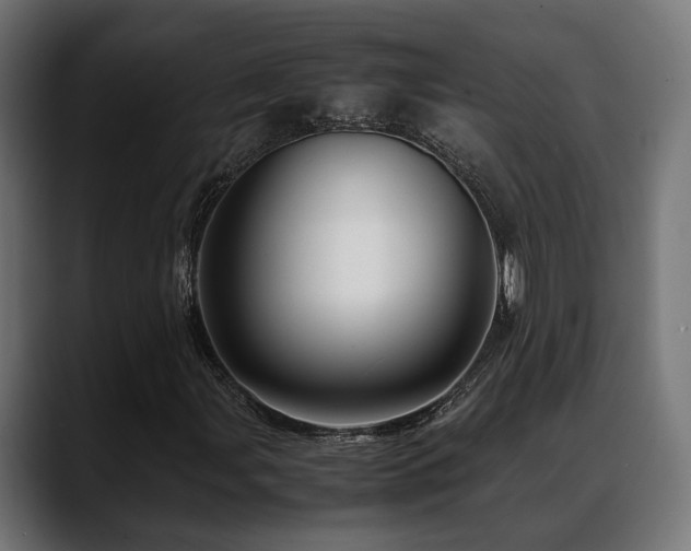 X0000088621107200705251235