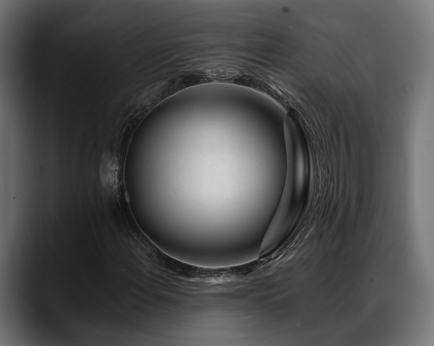 X0000088621108200705251235
