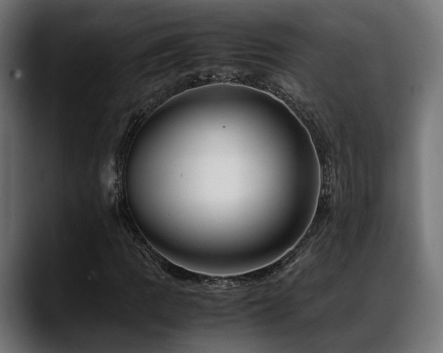 X0000088621109200705251235