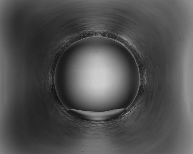 X0000088621110200705251235