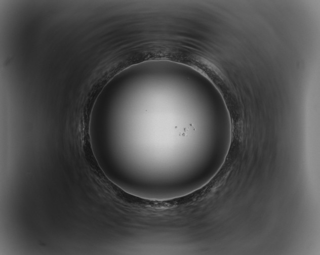 X0000088621111200705251235