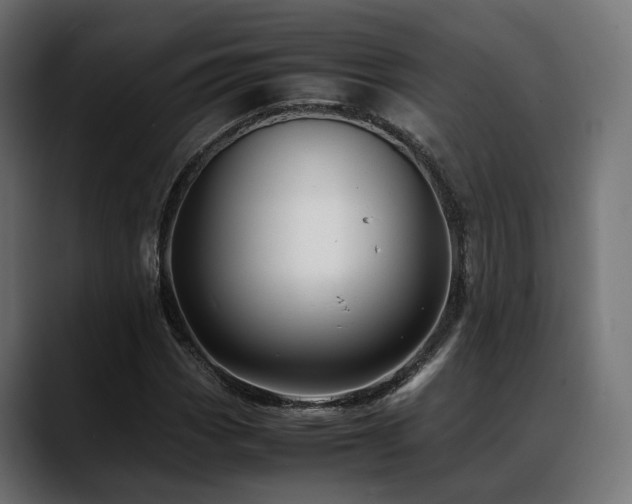 X0000088621113200705251235