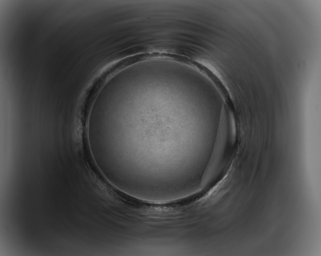 X0000088621115200705251235