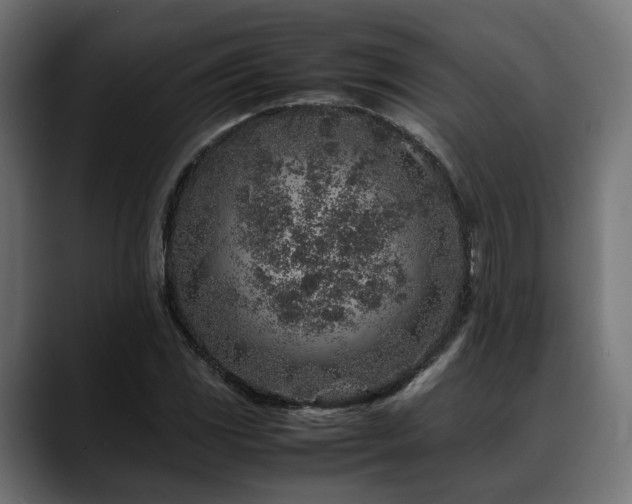 X0000088621117200705251235
