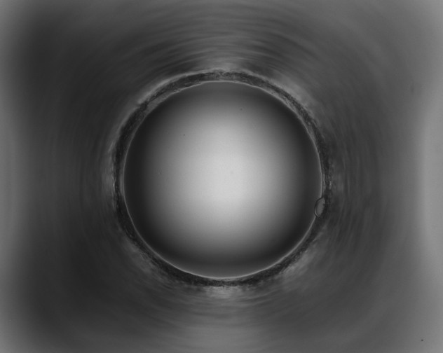 X0000088621118200705251235