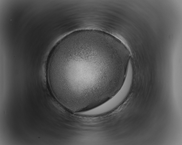 X0000088621120200705251235