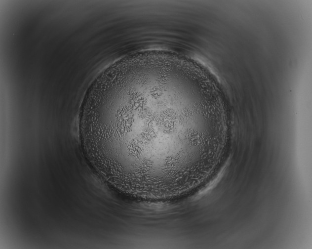 X0000088621121200705251235