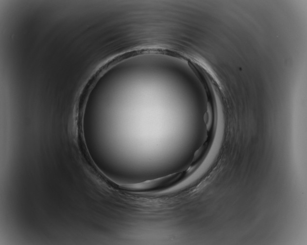 X0000088621124200705251235