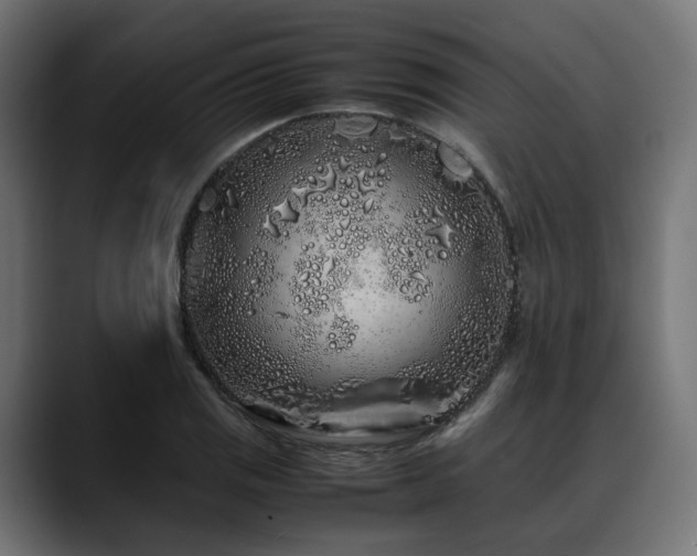X0000088621125200705251235
