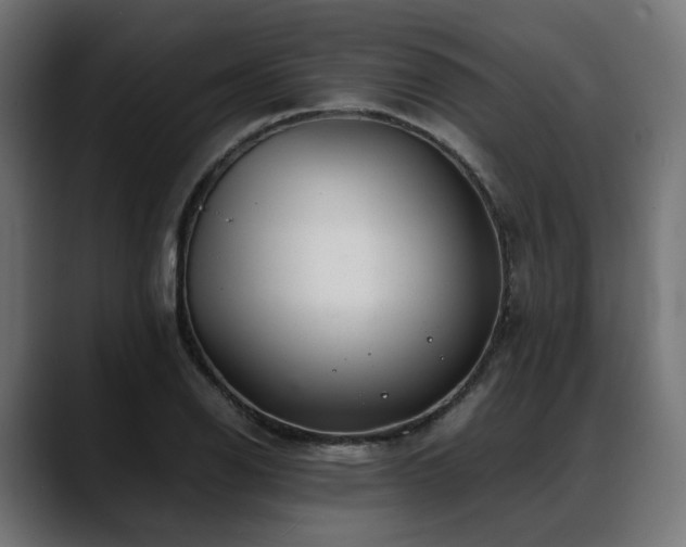 X0000088621126200705251235