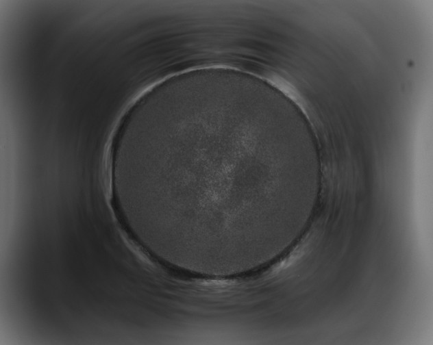 X0000088621127200705251235